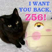 I want you back, Z56!