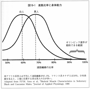 速筋比率と身体能力