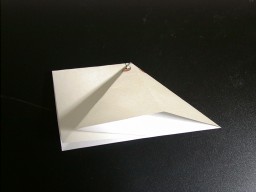 3. 上半分を折り筋を利用して三角に開いて折ります。